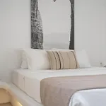 Apartment Lea Mykonos Merchia Beach
